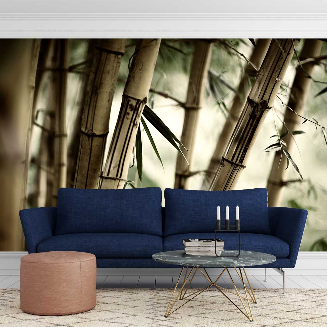 پوستر دیواری طبیعت ساقه گیاهt3353