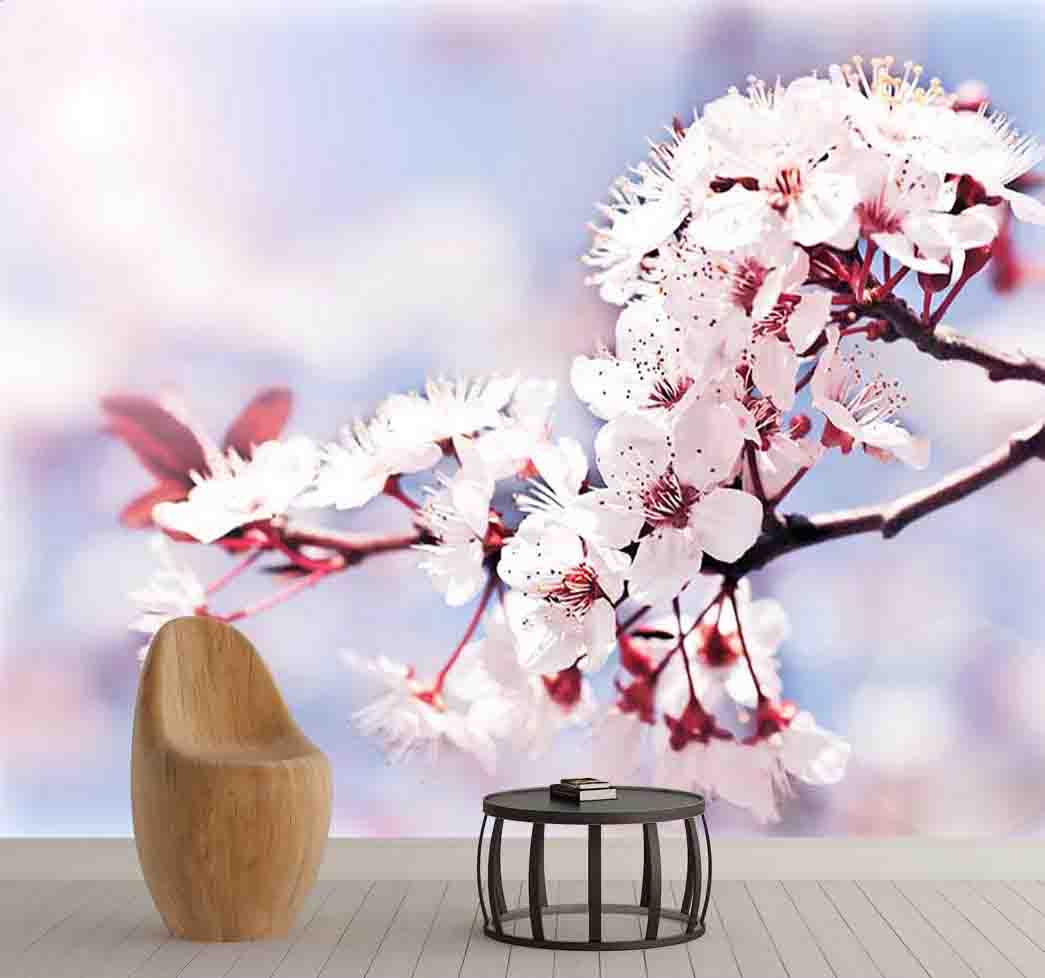 پوستر دیواری شکوفه بهاری کد F-8306
