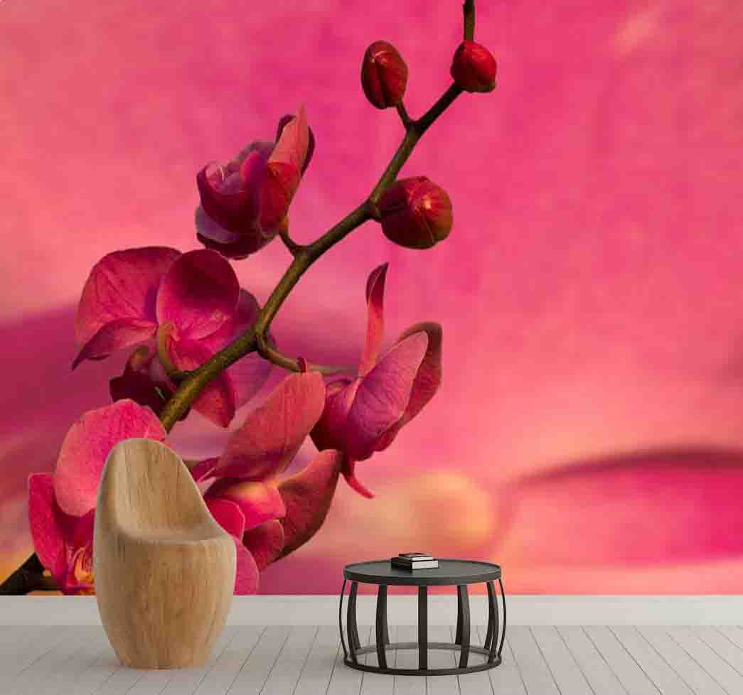 پوستر دیواری گل ارکیده بنفش کد F-8191